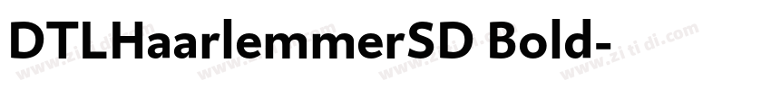 DTLHaarlemmerSD Bold字体转换